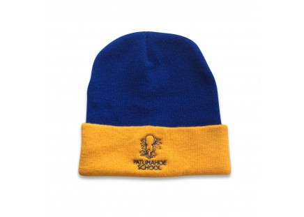 Patumahoe Primary Beanie Royal/Gold  image