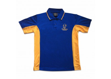 Patumahoe Primary Polo Royal / Gold  image